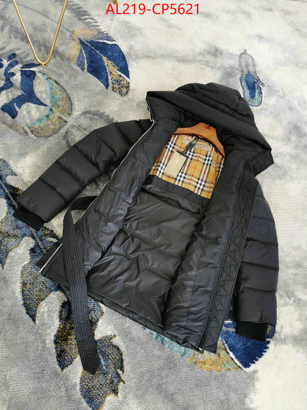 Down jacket Women-Burberry,aaaaa , ID: CP5621,