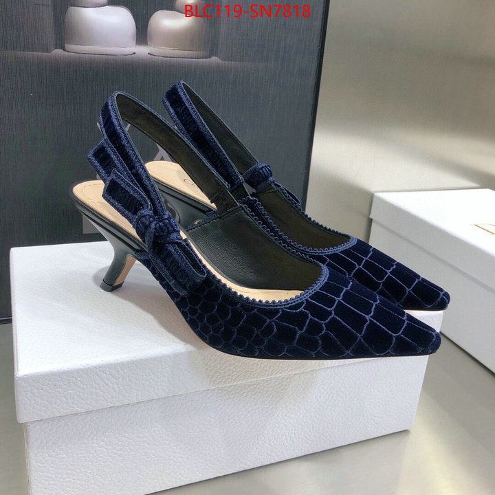 Women Shoes-Dior,aaaaa+ quality replica , ID: SN7818,$: 119USD