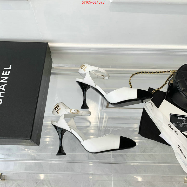 Women Shoes-Chanel,how to buy replica shop , ID: SE4873,$: 109USD