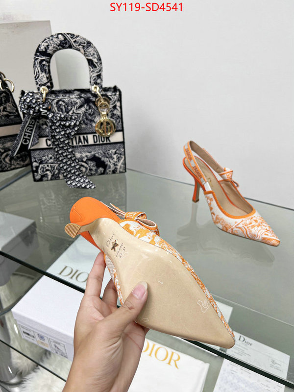 Women Shoes-Dior,most desired , ID: SD4541,$: 119USD