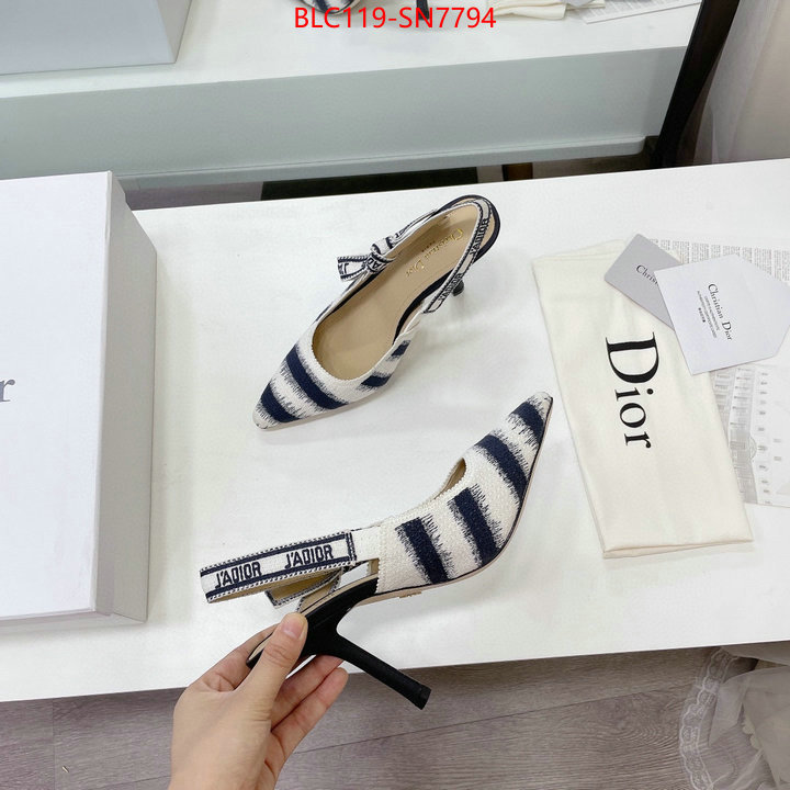 Women Shoes-Dior,online store , ID: SN7794,$: 119USD