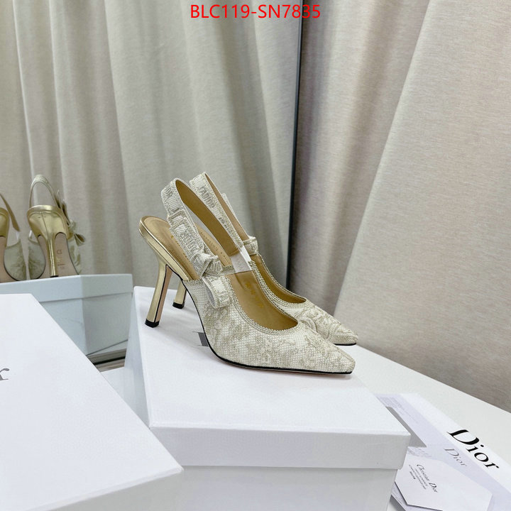 Women Shoes-Dior,styles & where to buy , ID: SN7835,$: 119USD