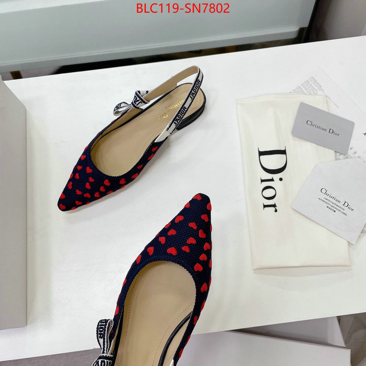 Women Shoes-Dior,high end designer , ID: SN7802,$: 119USD