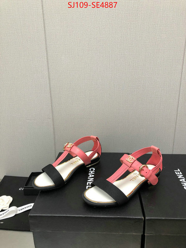 Women Shoes-Chanel,store , ID: SE4887,$: 109USD