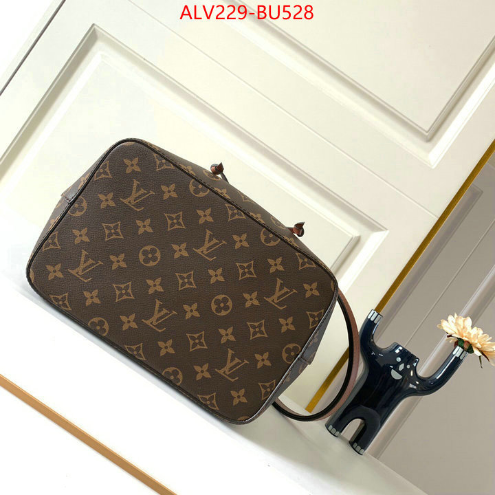 LV Bags(TOP)-Nono-No Purse-Nano No-,ID: BU528,$: 229USD