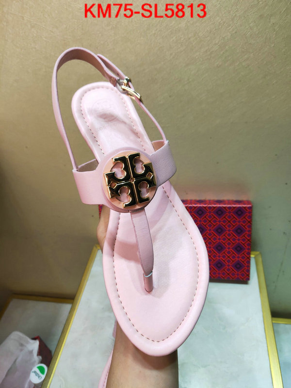 Women Shoes-Tory Burch,aaaaa+ replica , ID: SL5813,$: 75USD