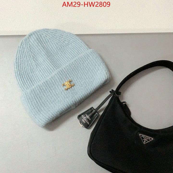 Cap (Hat)-Celine,top grade , ID: HW2809,$: 29USD