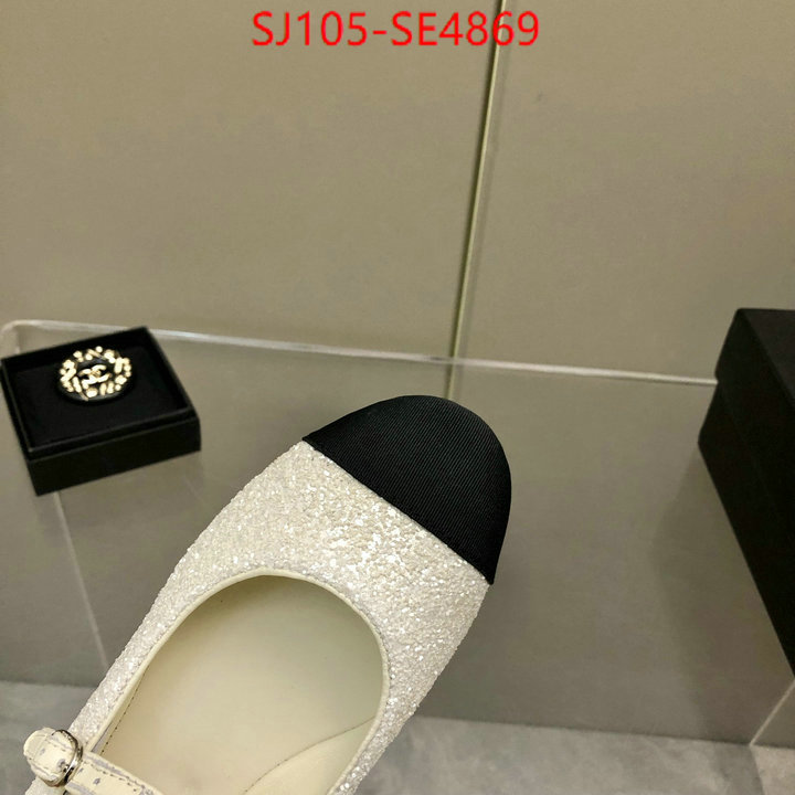 Women Shoes-Chanel,aaaaa quality replica , ID: SE4869,$: 105USD