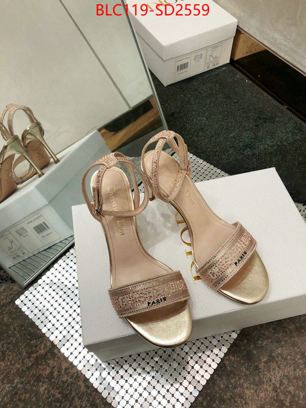 Women Shoes-Dior,is it ok to buy , ID: SD2559,$: 119USD