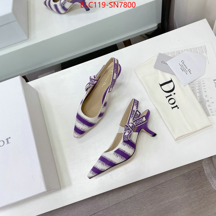 Women Shoes-Dior,wholesale , ID: SN7800,$: 119USD