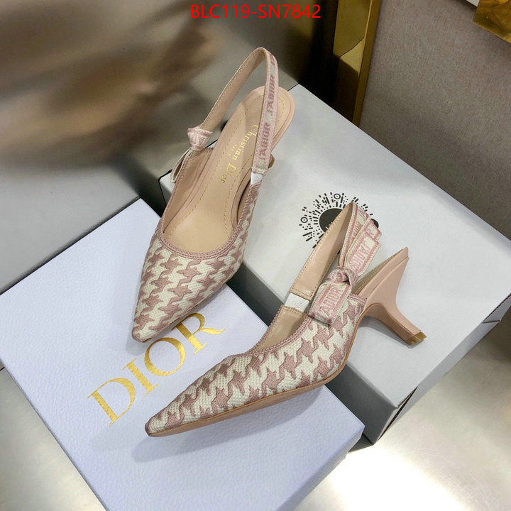 Women Shoes-Dior,designer 7 star replica , ID: SN7842,$: 119USD