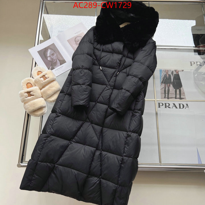 Down jacket Women-Burberry,website to buy replica , ID: CW1729,$: 289USD