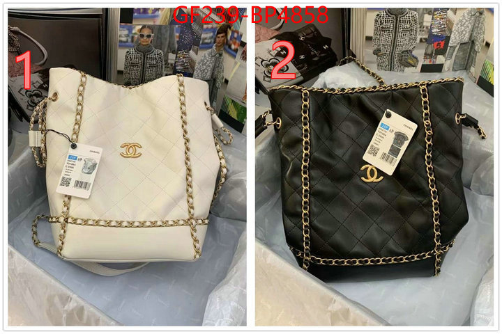 Chanel Bags(TOP)-Handbag-,ID: BP4858,$: 239USD