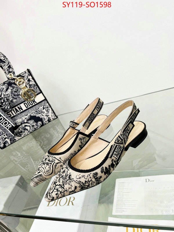 Women Shoes-Dior,best luxury replica , ID: SO1598,$: 119USD