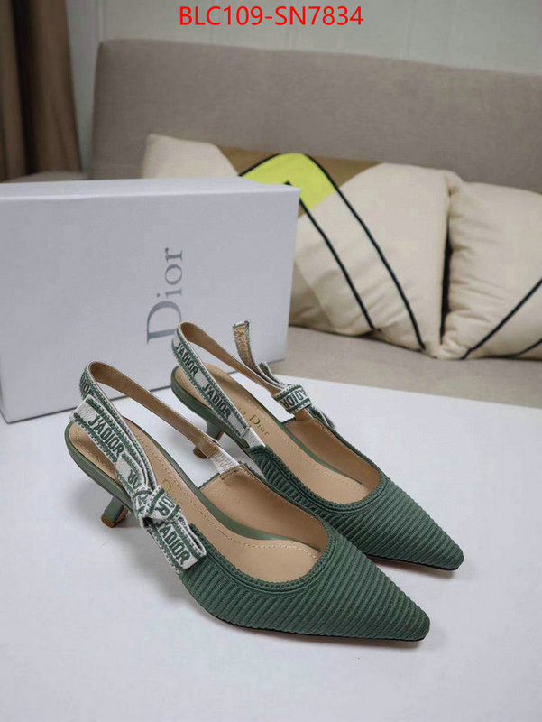 Women Shoes-Dior,the highest quality fake , ID: SN7834,$: 109USD