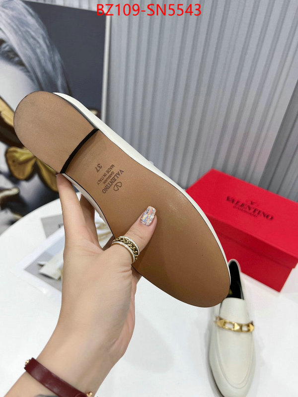 Women Shoes-Valentino,is it illegal to buy , ID: SN5543,$: 109USD