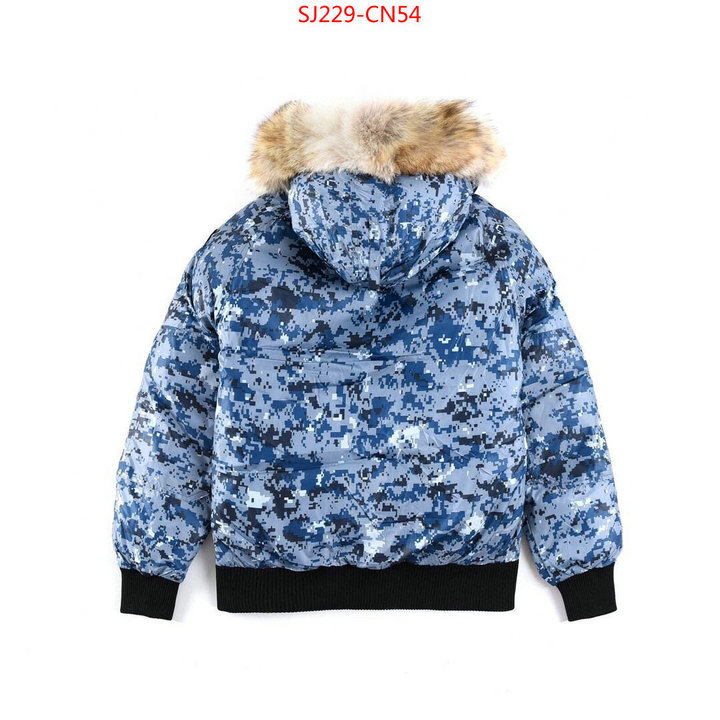 Down jacket Women-Canada Goose,is it ok to buy replica ,aaaaa replica designer , ID: CN54,$: 229USD