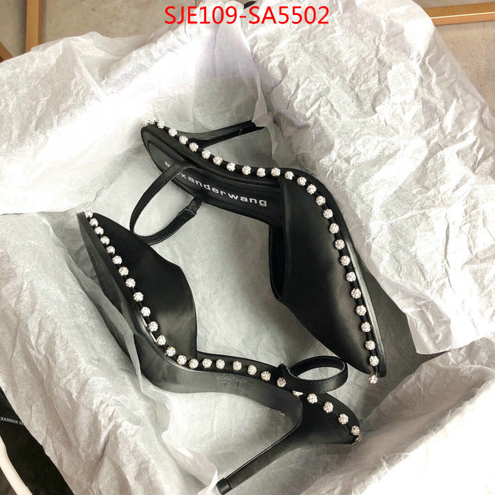 Women Shoes-Alexander Wang,wholesale china , ID: SA5502,$: 109USD