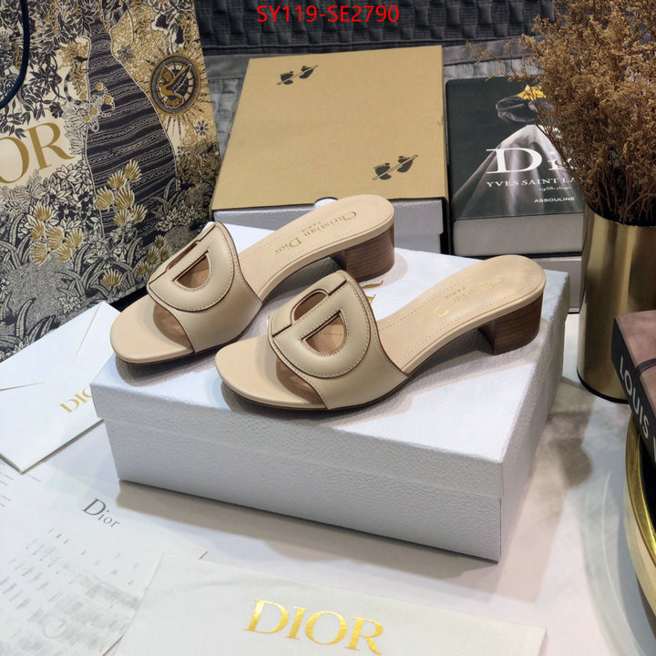 Women Shoes-Dior,where to buy fakes , ID: SE2790,$: 119USD