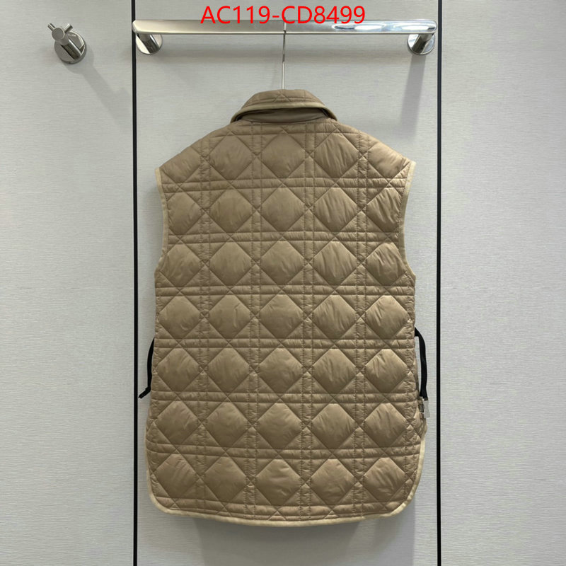 Down jacket Women-Dior,china sale , ID: CD8499,$: 119USD