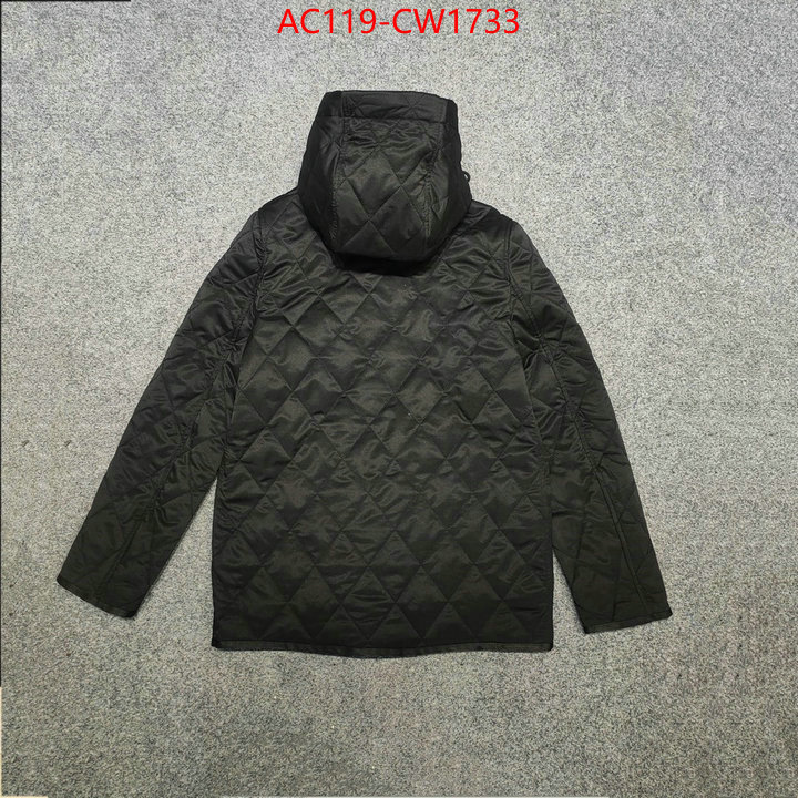 Down jacket Women-Burberry,best quality replica , ID: CW1733,$: 119USD