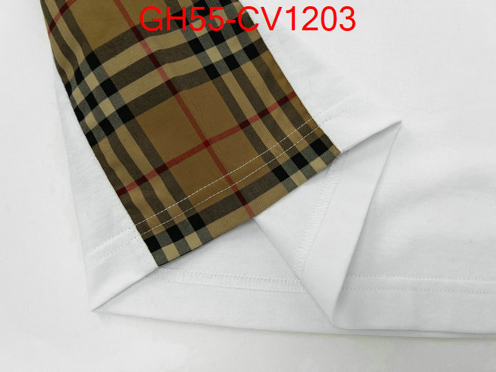 Clothing-Burberry,where can i buy the best 1:1 original , ID: CV1203,$: 55USD