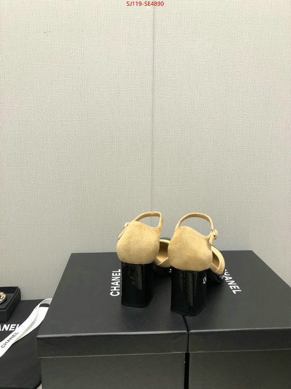 Women Shoes-Chanel,how to buy replica shop , ID: SE4890,$: 119USD