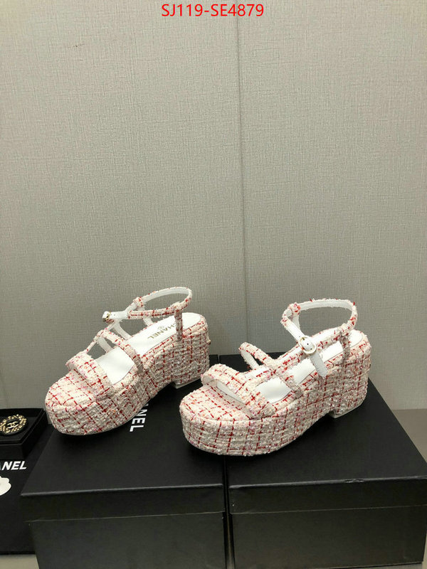 Women Shoes-Chanel,cheap replica designer , ID: SE4879,$: 119USD