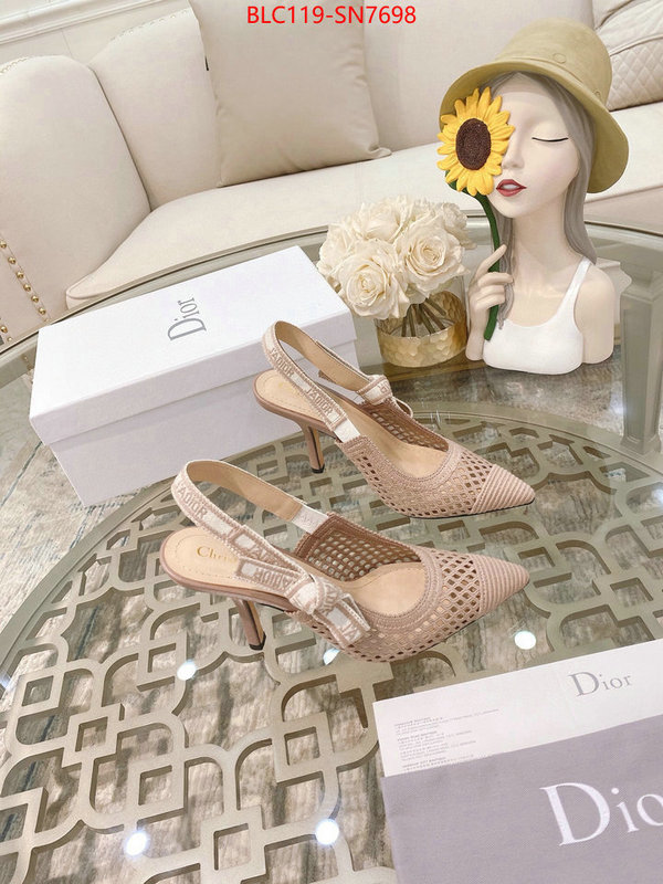 Women Shoes-Dior,how to buy replcia , ID: SN7698,$: 119USD