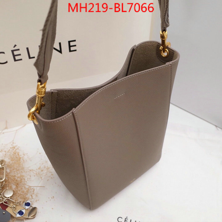 CELINE Bags(TOP)-Diagonal,highest quality replica ,ID: BL7066,$: 219USD