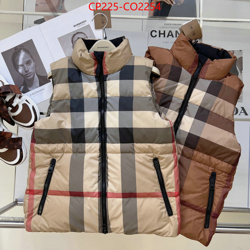 Down jacket Men-Burberry,where to buy high quality , ID: CO2254,$: 225USD