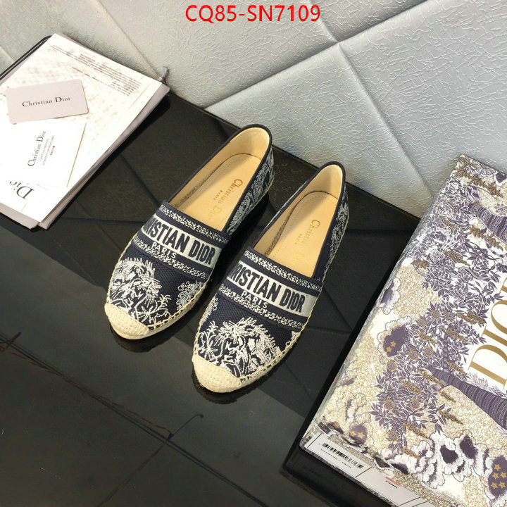 Women Shoes-Dior,online from china , ID: SN7109,$: 85USD