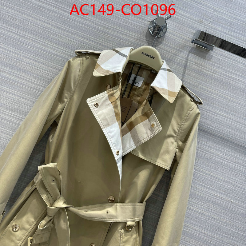 Down jacket Women-Burberry,luxury shop , ID: CO1096,$: 149USD