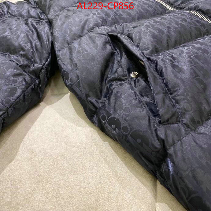 Down jacket Women-Dior,china sale , ID: CP856,$: 229USD