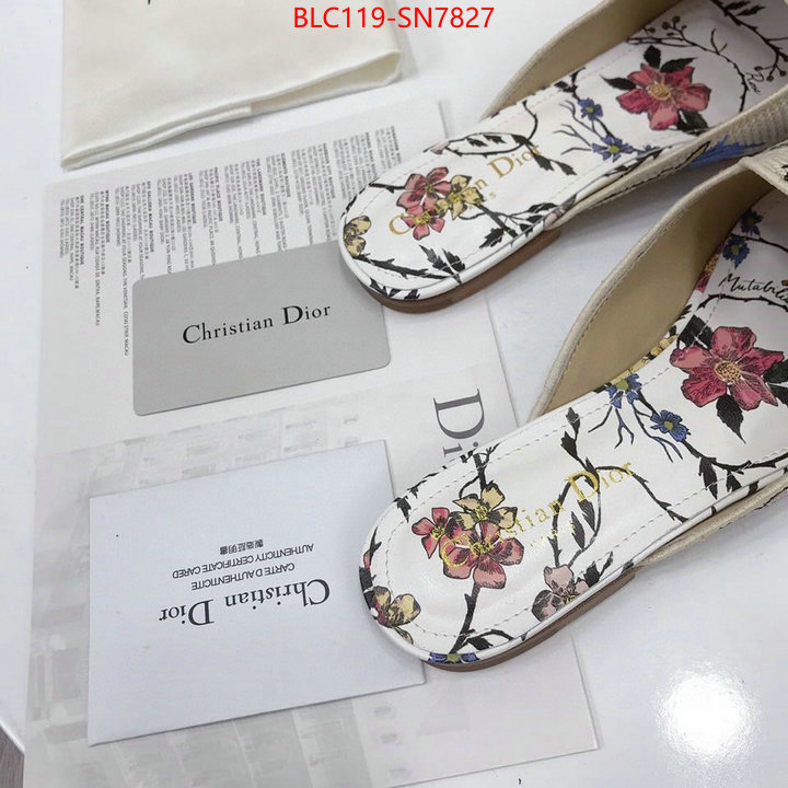 Women Shoes-Dior,wholesale china , ID: SN7827,$: 119USD