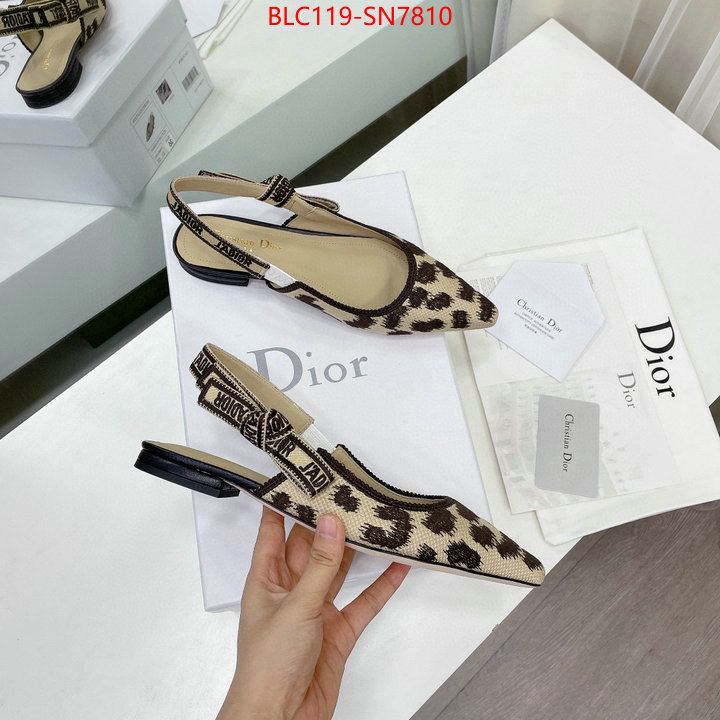 Women Shoes-Dior,7 star , ID: SN7810,$: 119USD