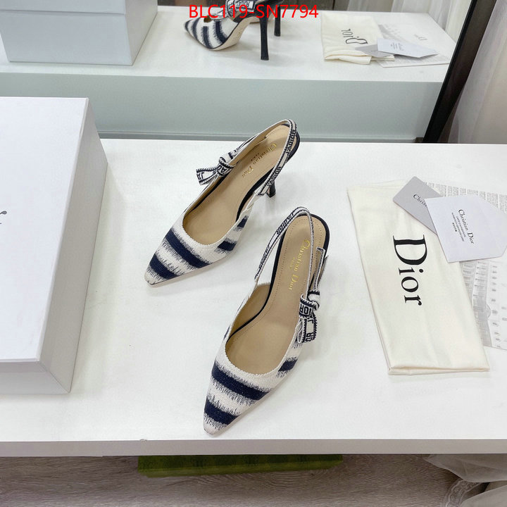 Women Shoes-Dior,online store , ID: SN7794,$: 119USD