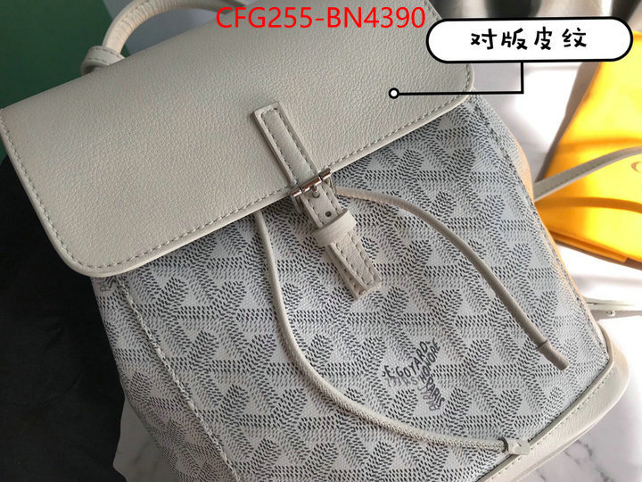 Goyard Bags(TOP)-Backpack-,ID: BN4390,$: 255USD