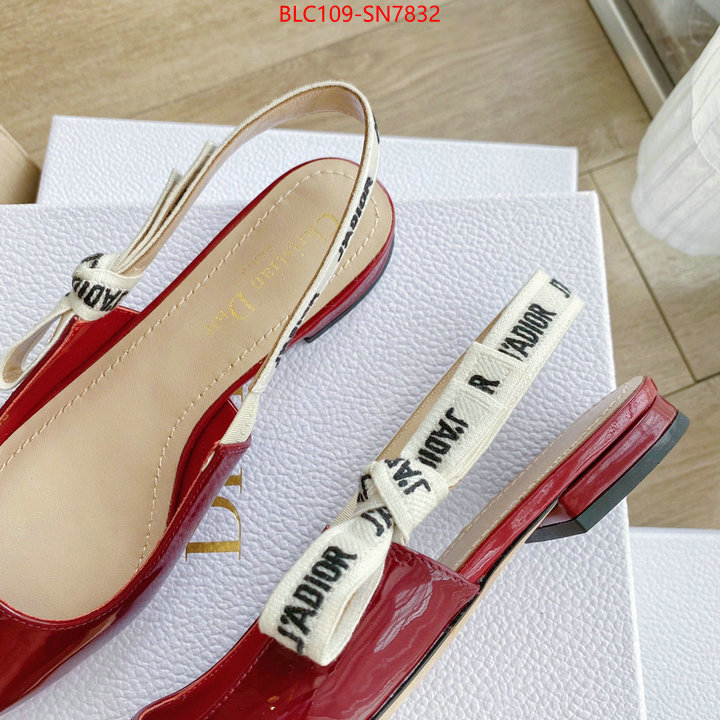 Women Shoes-Dior,2023 replica , ID: SN7832,$: 109USD