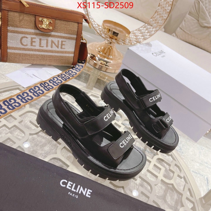 Women Shoes-CELINE,top quality designer replica , ID: SD2509,$: 115USD