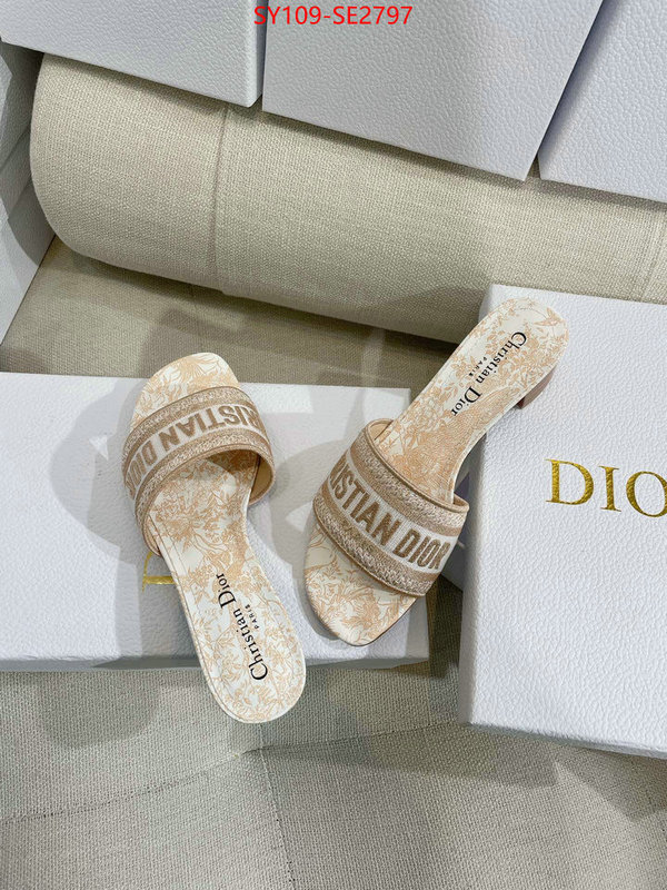 Women Shoes-Dior,shop the best high authentic quality replica , ID: SE2797,$: 109USD