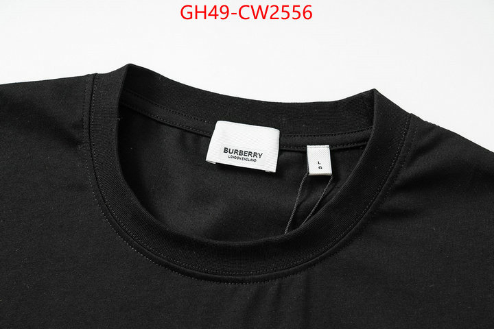 Clothing-Burberry,buy cheap , ID: CW2556,$: 49USD