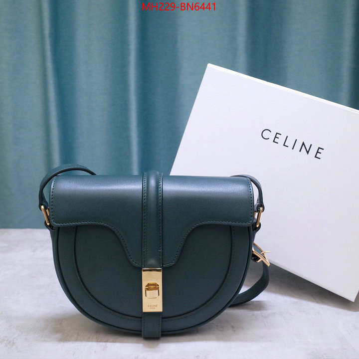 CELINE Bags(TOP)-Diagonal,aaaaa class replica ,ID: BN6441,$: 229USD