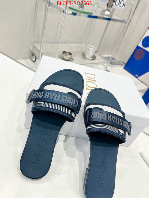 Women Shoes-Dior,high end designer , ID: SD2563,$: 85USD