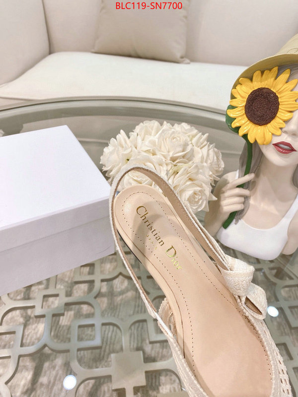 Women Shoes-Dior,sell online luxury designer , ID: SN7700,$: 119USD