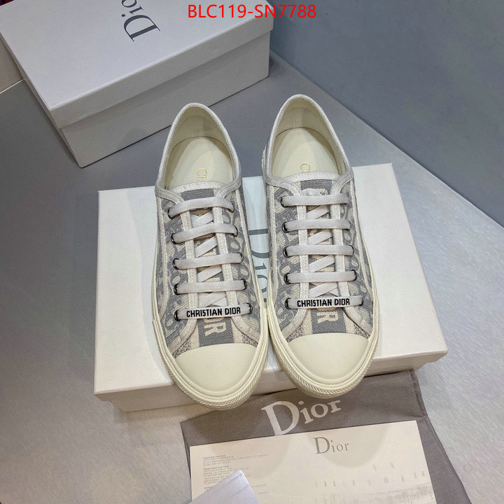 Women Shoes-Dior,buy cheap , ID: SN7788,$: 119USD