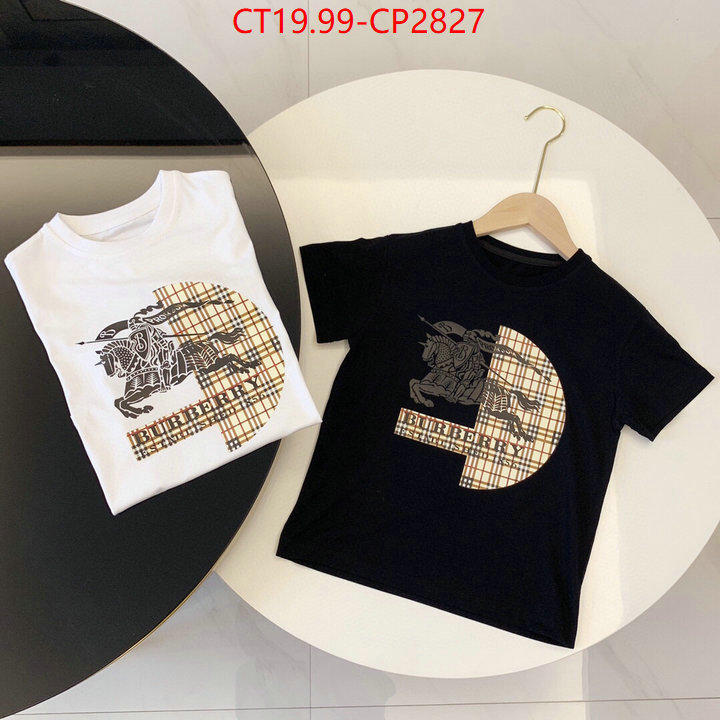 Kids clothing-Burberry,sell online , ID: CP2827,