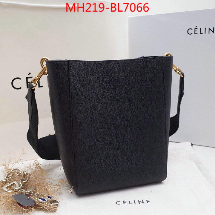 CELINE Bags(TOP)-Diagonal,highest quality replica ,ID: BL7066,$: 219USD