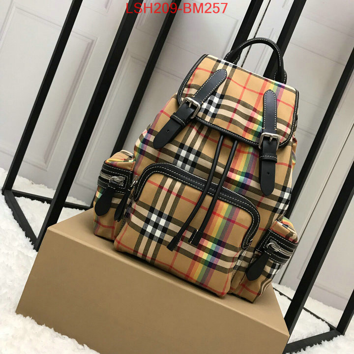 Burberry Bags(TOP)-Backpack-,quality aaaaa replica ,ID: BM257,$:209USD