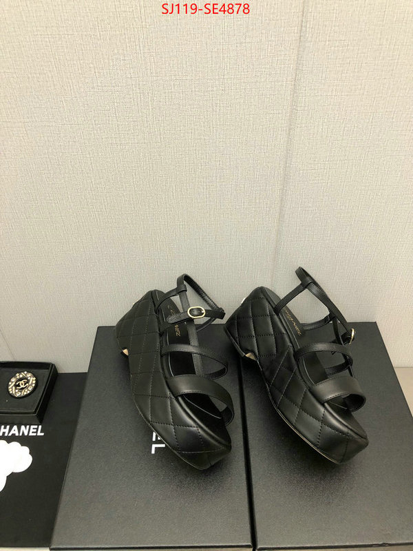 Women Shoes-Chanel,quality replica , ID: SE4878,$: 119USD